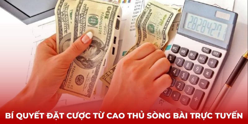 Bí quyết đặt cược từ cao thủ sòng bài trực tuyến