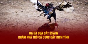 Đá gà cựa sắt 33win