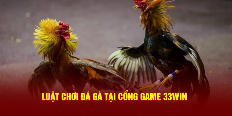 Luật chơi đá gà tại cổng game 33win